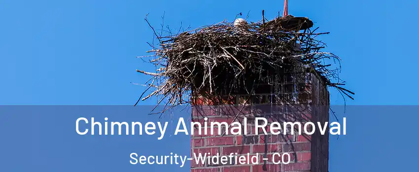 Chimney Animal Removal Security-Widefield - CO