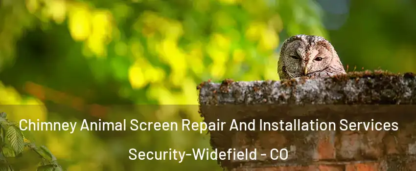  Chimney Animal Screen Repair And Installation Services Security-Widefield - CO