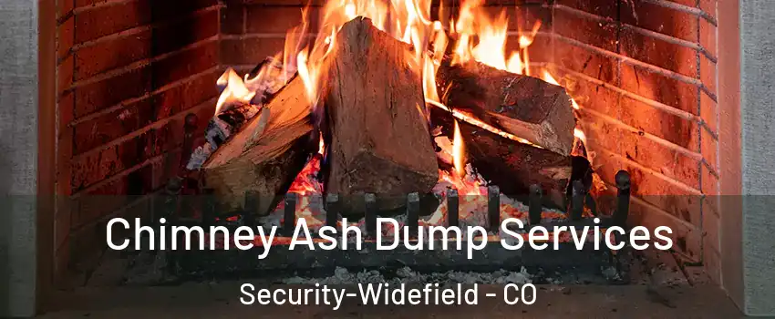  Chimney Ash Dump Services Security-Widefield - CO