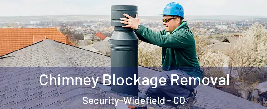  Chimney Blockage Removal Security-Widefield - CO