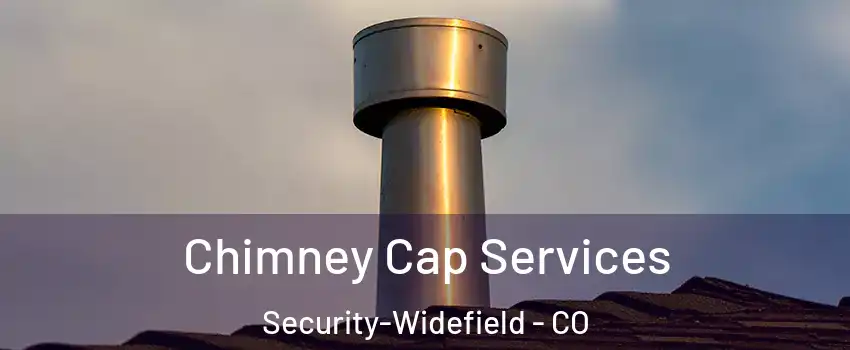  Chimney Cap Services Security-Widefield - CO