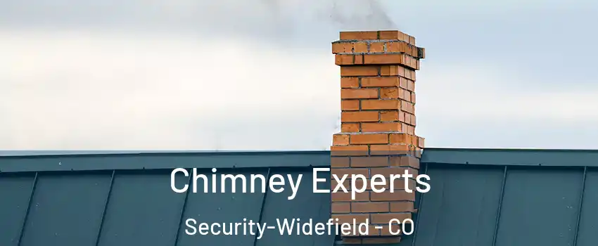 Chimney Experts Security-Widefield - CO