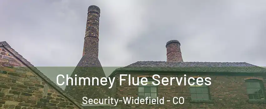  Chimney Flue Services Security-Widefield - CO
