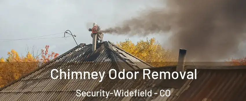  Chimney Odor Removal Security-Widefield - CO