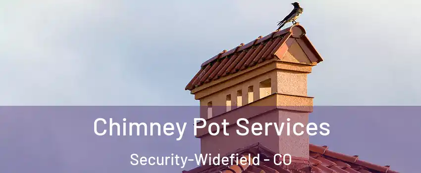  Chimney Pot Services Security-Widefield - CO