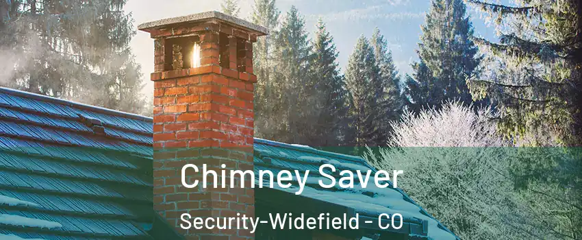  Chimney Saver Security-Widefield - CO
