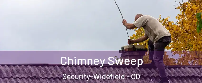  Chimney Sweep Security-Widefield - CO