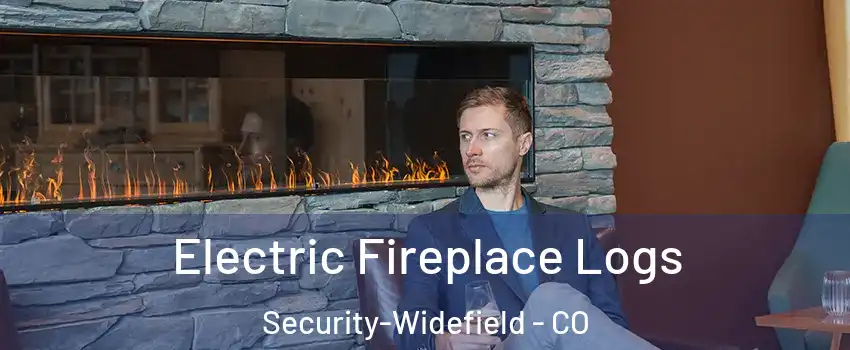 Electric Fireplace Logs Security-Widefield - CO