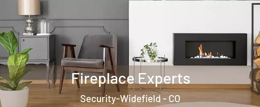  Fireplace Experts Security-Widefield - CO