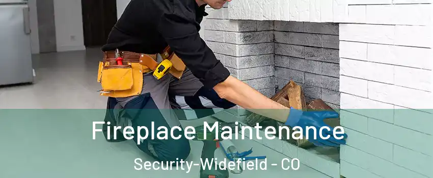  Fireplace Maintenance Security-Widefield - CO