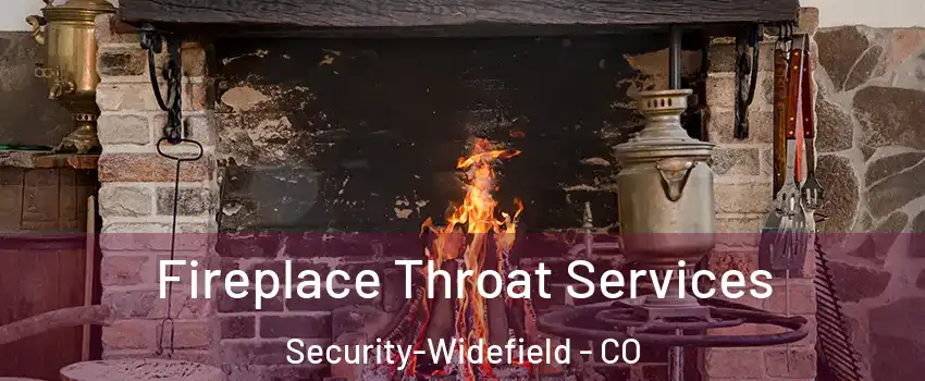 Fireplace Throat Services Security-Widefield - CO