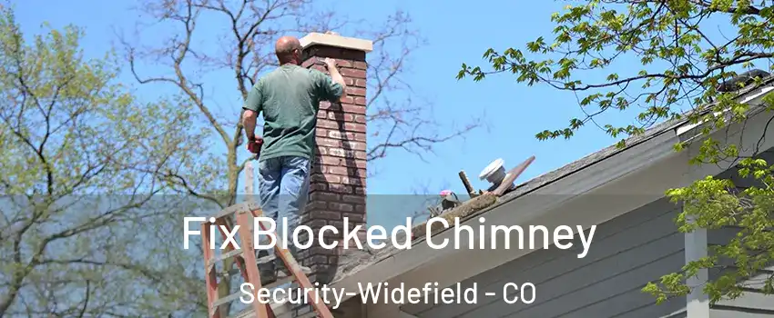  Fix Blocked Chimney Security-Widefield - CO