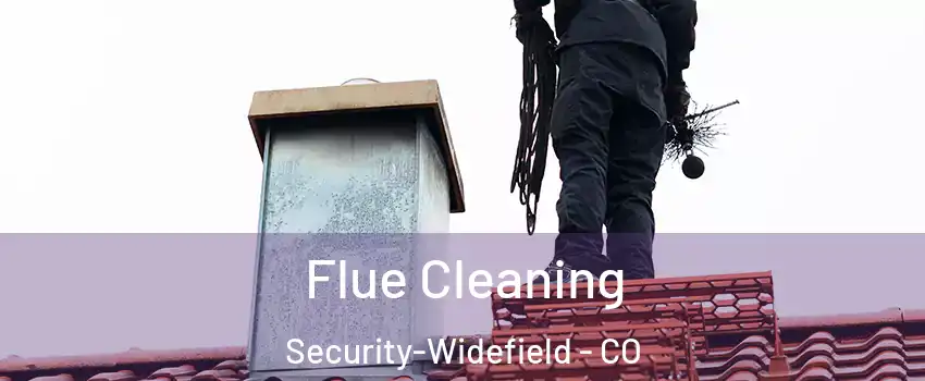  Flue Cleaning Security-Widefield - CO