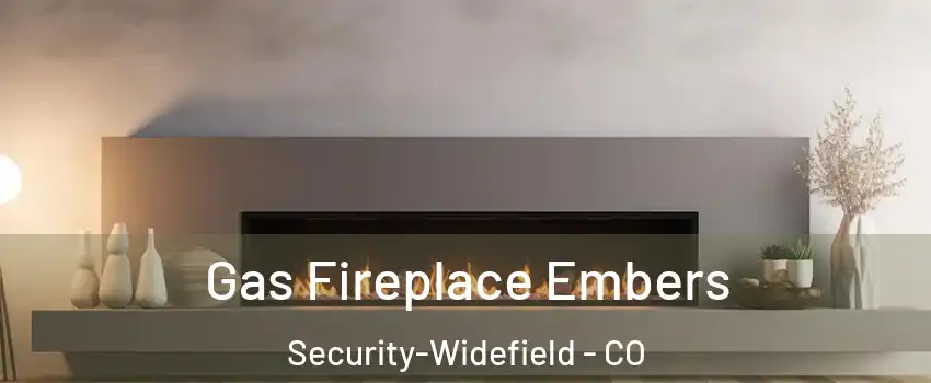  Gas Fireplace Embers Security-Widefield - CO