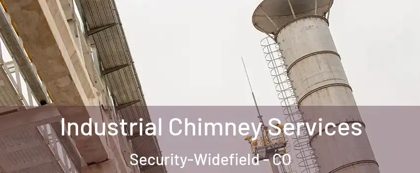  Industrial Chimney Services Security-Widefield - CO