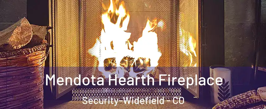  Mendota Hearth Fireplace Security-Widefield - CO