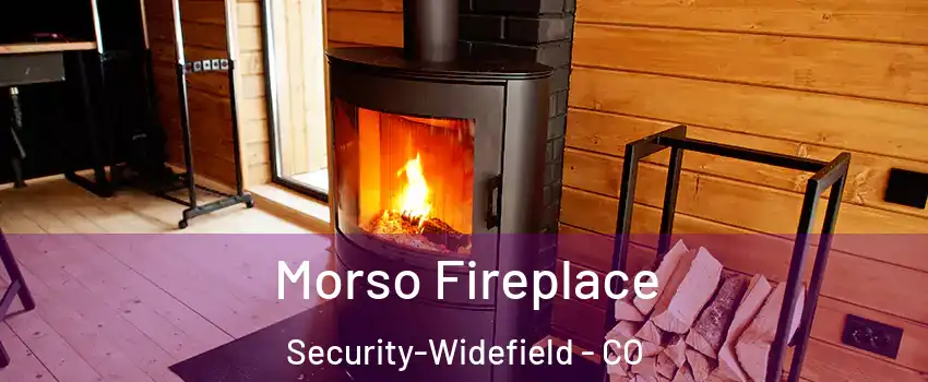  Morso Fireplace Security-Widefield - CO