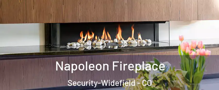  Napoleon Fireplace Security-Widefield - CO