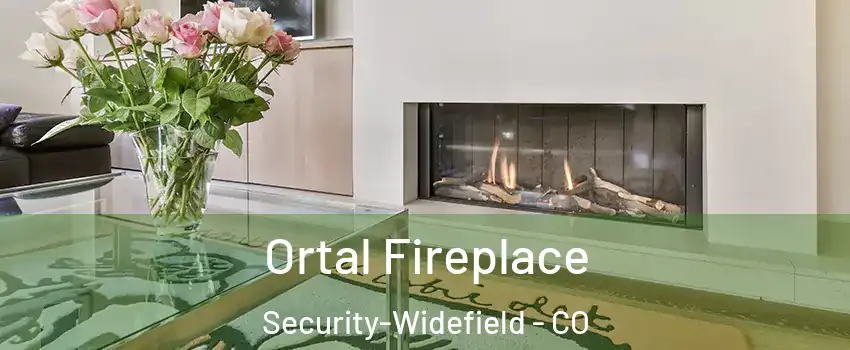 Ortal Fireplace Security-Widefield - CO