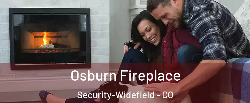  Osburn Fireplace Security-Widefield - CO