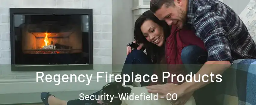  Regency Fireplace Products Security-Widefield - CO