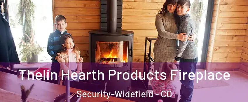  Thelin Hearth Products Fireplace Security-Widefield - CO